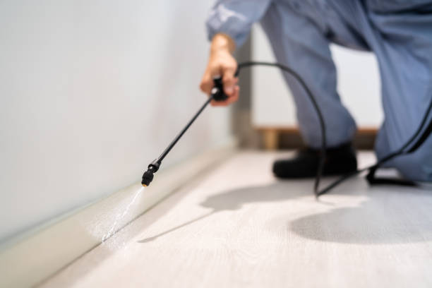Licensed Pest Control service in La Center, WA - Show Me Pest Control