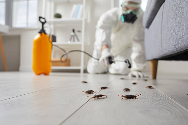 Commercial Kitchen Cockroach Control in La Center